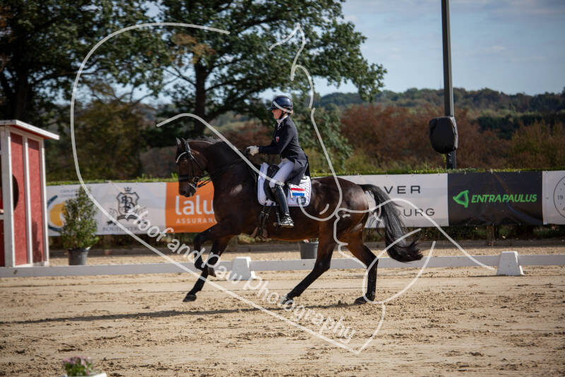 bouferterhaff-jumping-51-standard-8cuysn.jpg