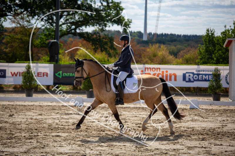 bouferterhaff-jumping-51-standard-f8pqvb.jpg
