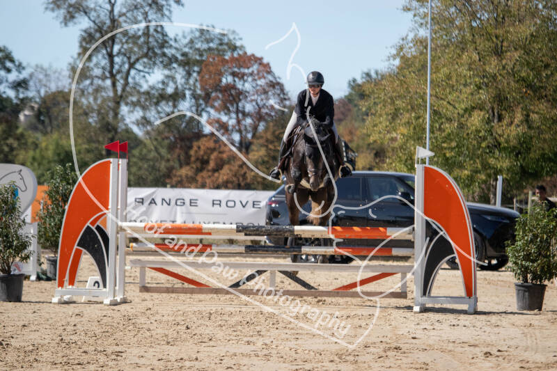 bouferterhaff-jumping-51-standard-fba5nv.jpg