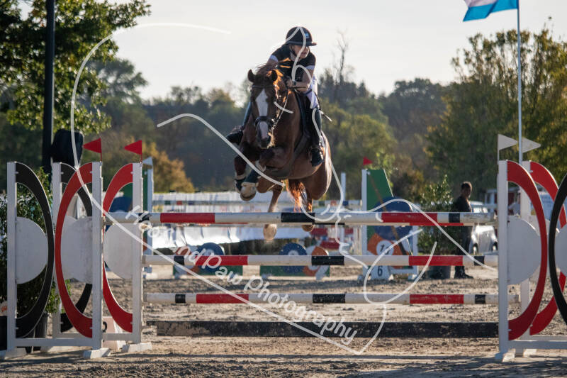 bouferterhaff-jumping-51-standard-fxc4i5.jpg