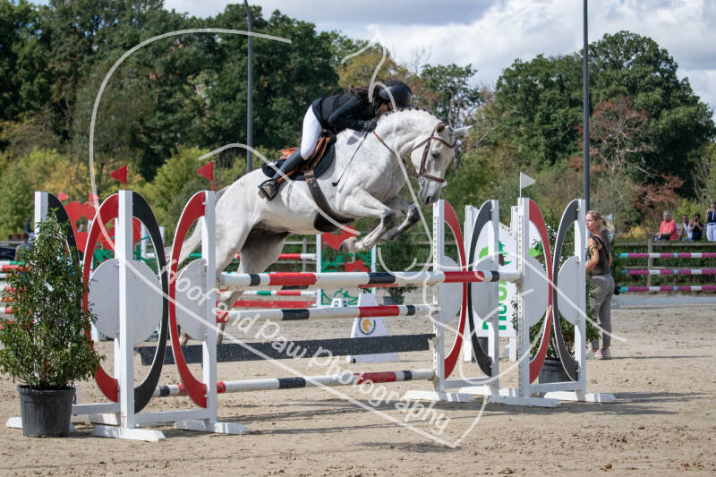 bouferterhaff-jumping-51-standard.jpg