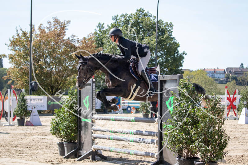 bouferterhaff-jumping-52-standard-1t29ip.jpg