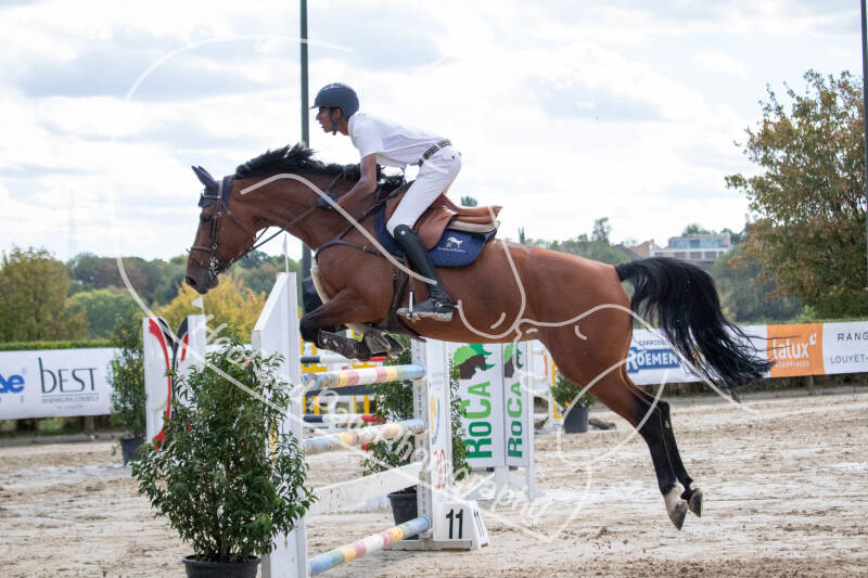 bouferterhaff-jumping-52-standard-94rx0j.jpg