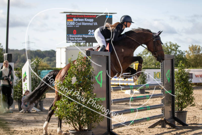bouferterhaff-jumping-52-standard-hdxo3u.jpg