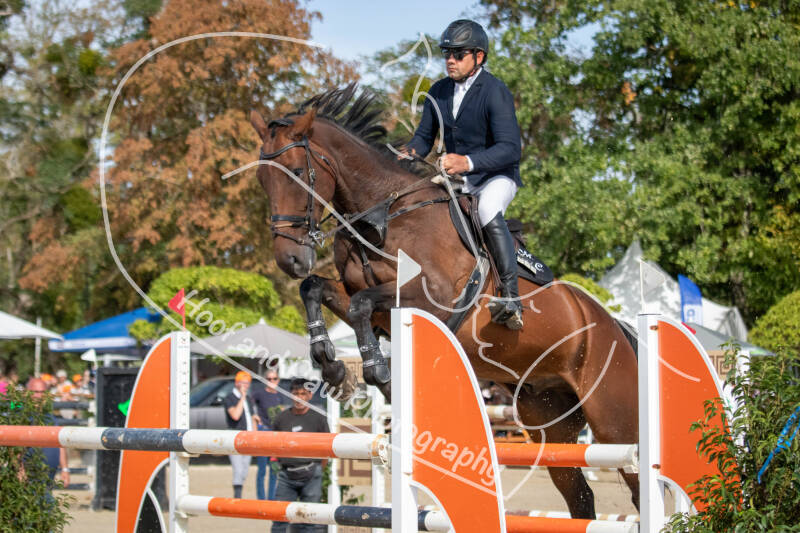 bouferterhaff-jumping-52-standard-ofnsjc.jpg
