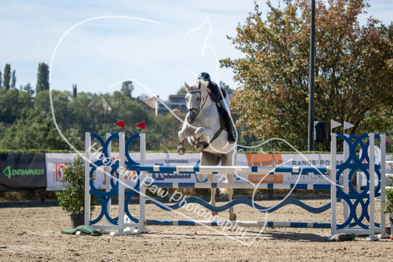 bouferterhaff-jumping-52-standard-qcu5n1.jpg