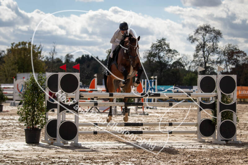 bouferterhaff-jumping-53-standard-2ybef0.jpg