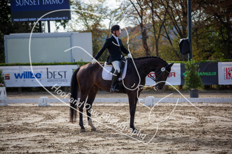 bouferterhaff-jumping-53-standard-as1b1s.jpg