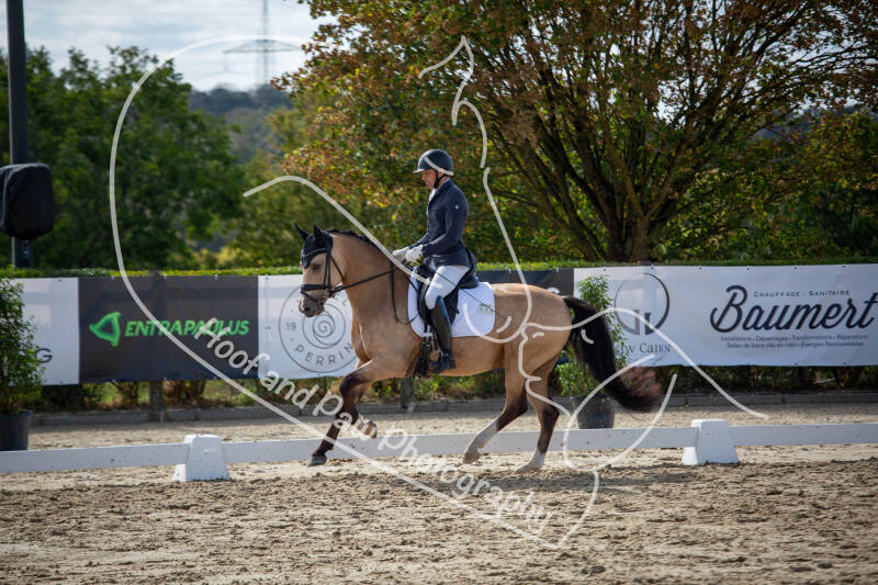 bouferterhaff-jumping-53-standard-cdgwya.jpg