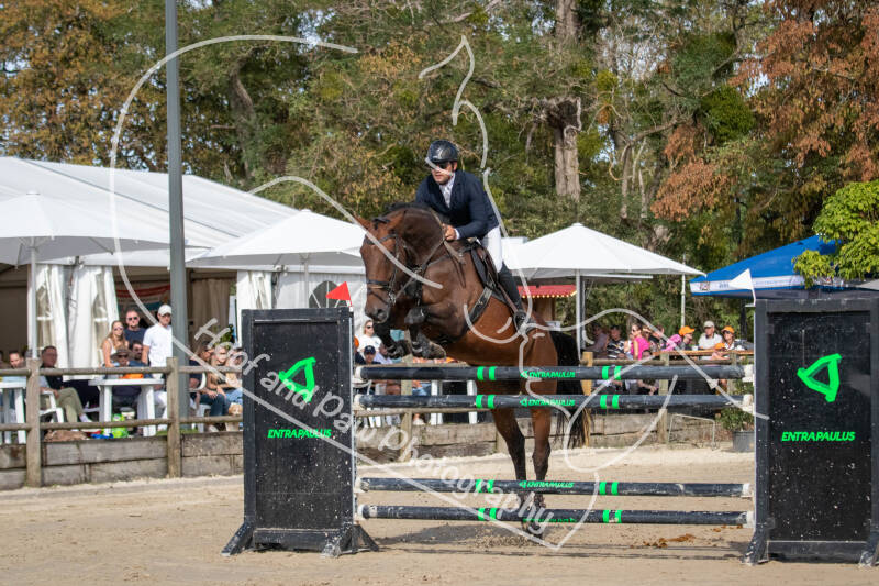 bouferterhaff-jumping-53-standard-dccufa.jpg