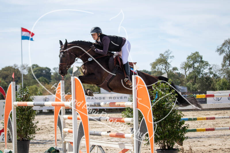 bouferterhaff-jumping-53-standard-lxd2vy.jpg