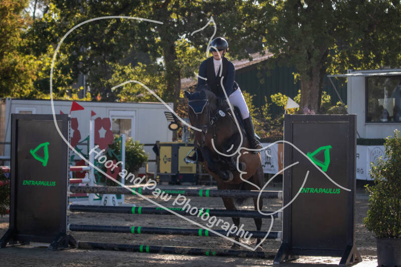 bouferterhaff-jumping-53-standard-nkgrlx.jpg