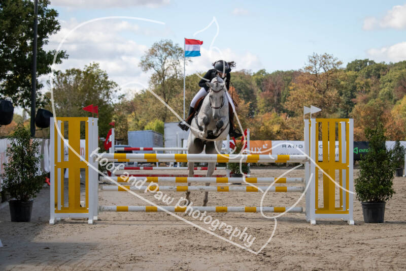 bouferterhaff-jumping-53-standard.jpg