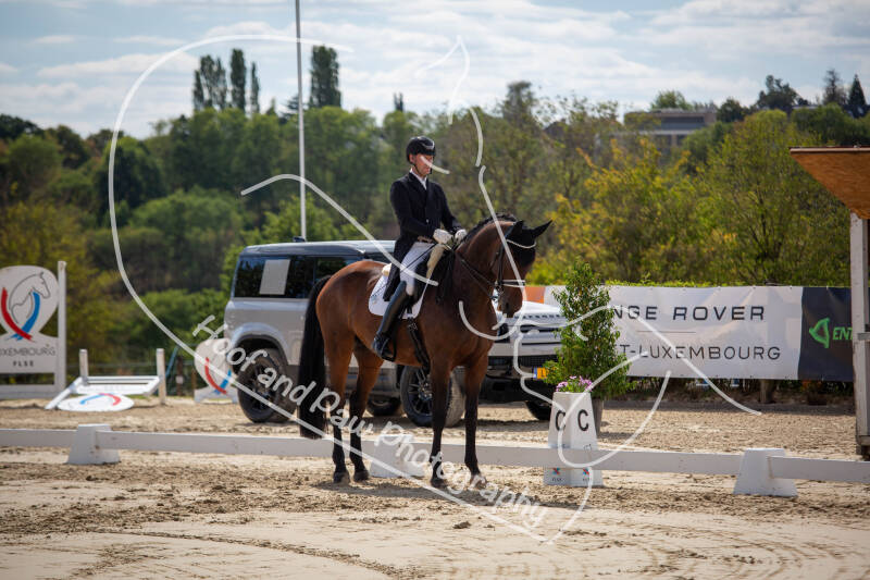 bouferterhaff-jumping-54-standard-21o5le.jpg