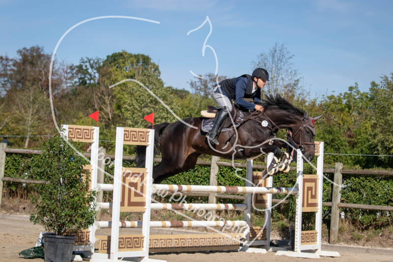 bouferterhaff-jumping-54-standard-2dnkwn.jpg