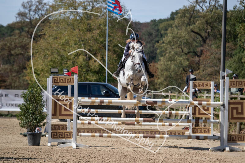 bouferterhaff-jumping-54-standard-2i2oxy.jpg