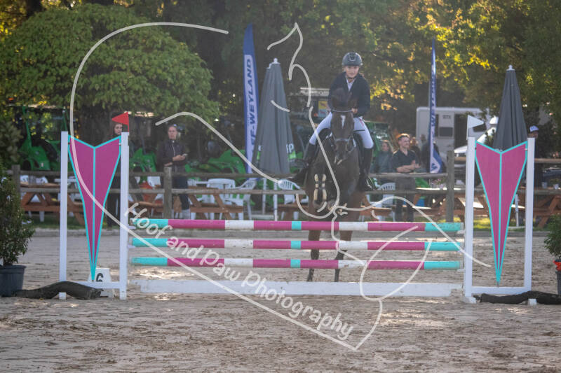 bouferterhaff-jumping-54-standard-f8whxq.jpg