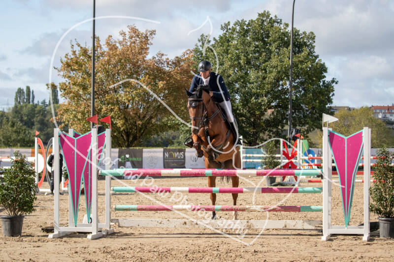 bouferterhaff-jumping-54-standard-hpo21z.jpg