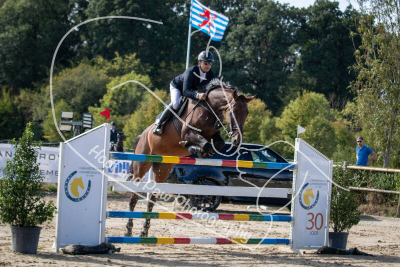 bouferterhaff-jumping-54-standard-j1fhgz.jpg