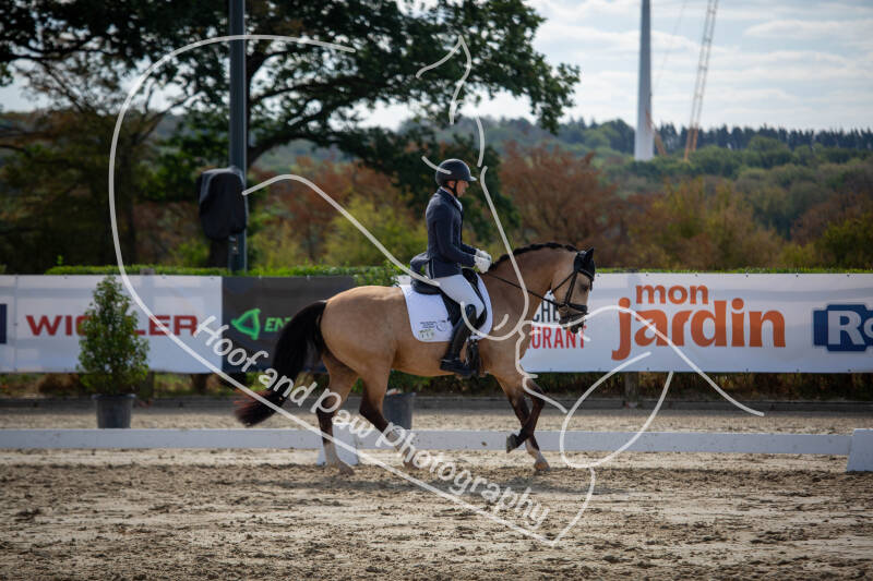 bouferterhaff-jumping-54-standard-urj5lj.jpg