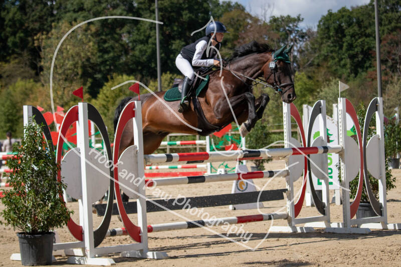 bouferterhaff-jumping-54-standard.jpg