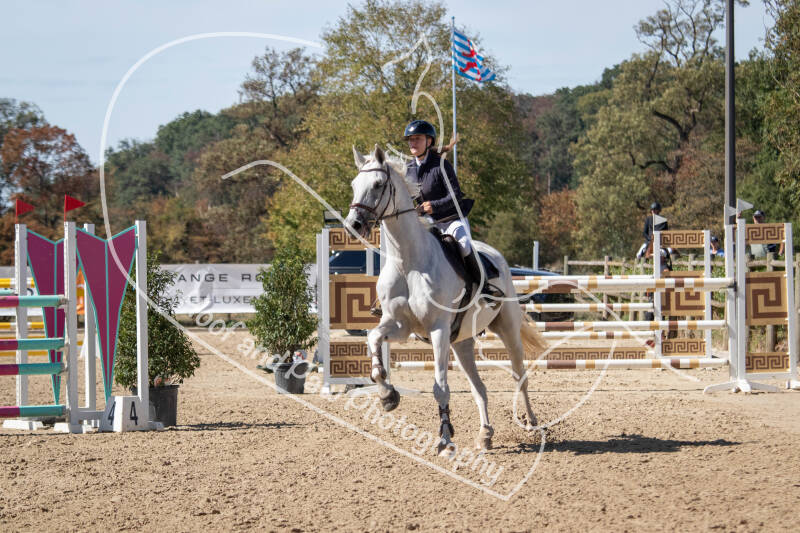 bouferterhaff-jumping-55-standard-1yotwv.jpg