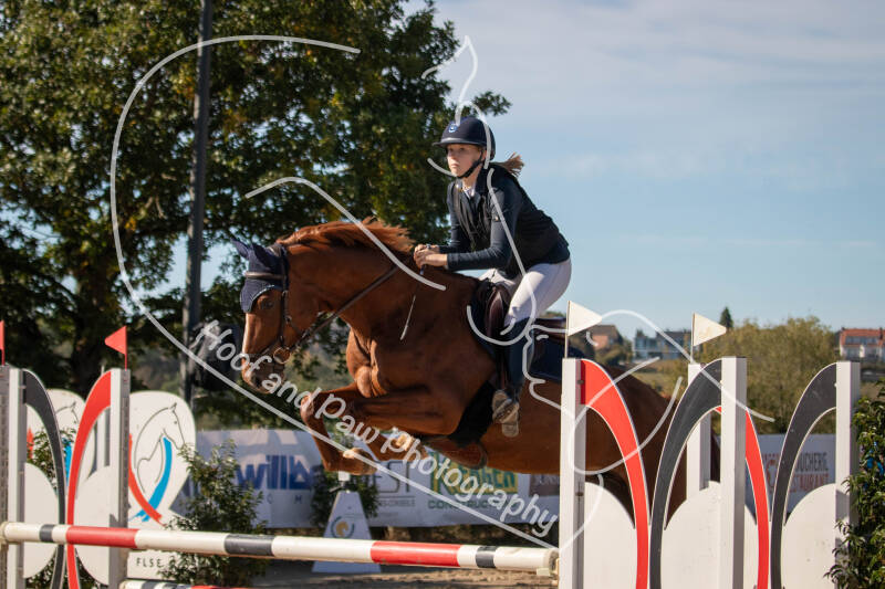 bouferterhaff-jumping-55-standard-5ixmq3.jpg
