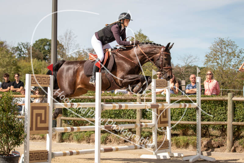 bouferterhaff-jumping-55-standard-cbzsja.jpg
