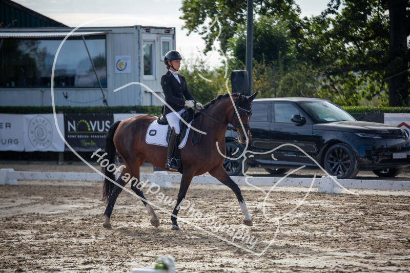 bouferterhaff-jumping-55-standard-d4lx6y.jpg