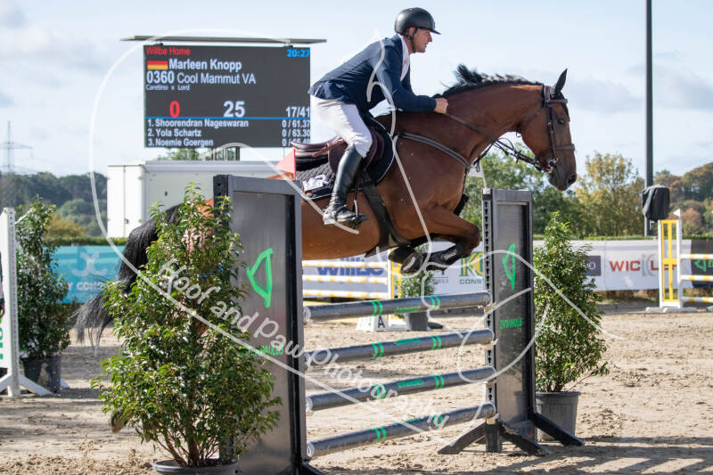 bouferterhaff-jumping-55-standard-kmy7no.jpg