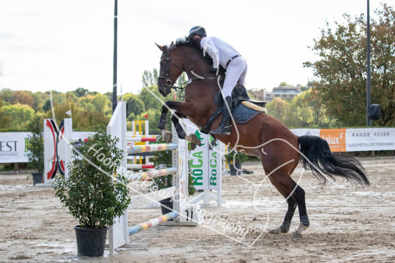 bouferterhaff-jumping-55-standard-txtp0u.jpg