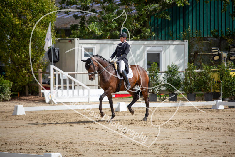 bouferterhaff-jumping-55-standard-w2wfoo.jpg