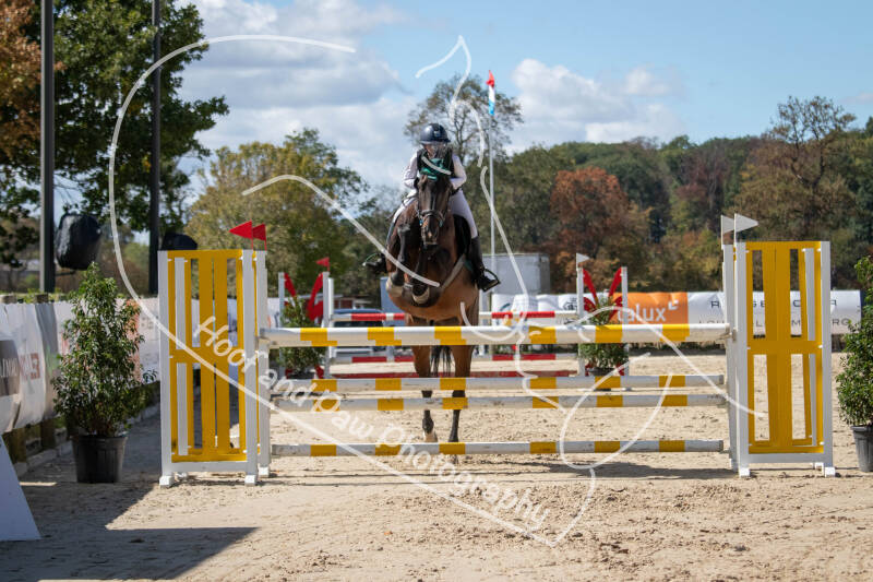 bouferterhaff-jumping-55-standard.jpg