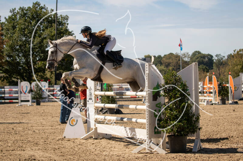 bouferterhaff-jumping-56-standard-jjtf2h.jpg
