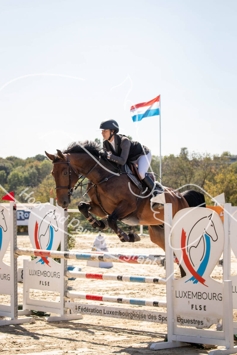 bouferterhaff-jumping-56-standard-l3rsv3.jpg