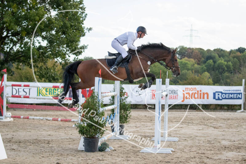 bouferterhaff-jumping-56-standard-nieybb.jpg