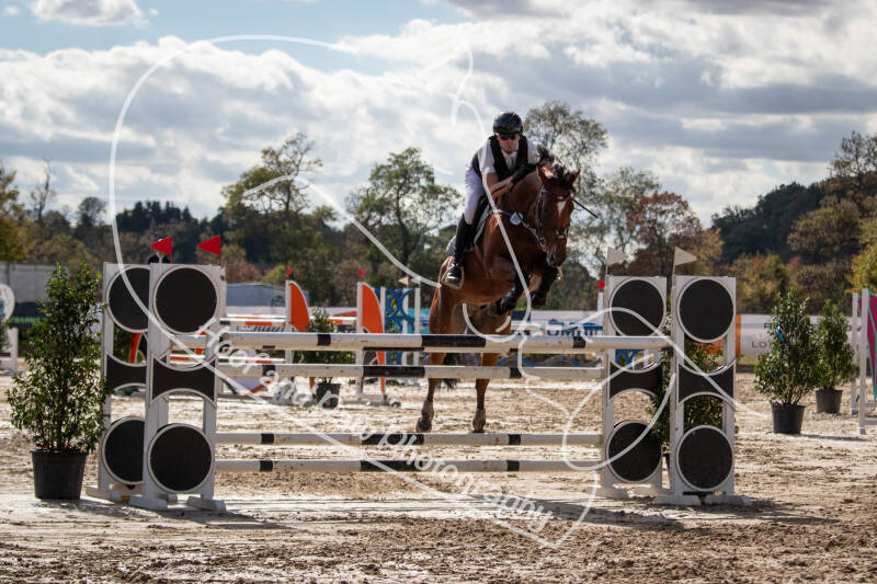 bouferterhaff-jumping-56-standard-noogzj.jpg
