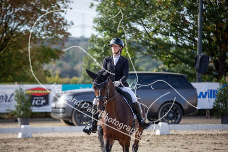 bouferterhaff-jumping-56-standard-ui9ylz.jpg