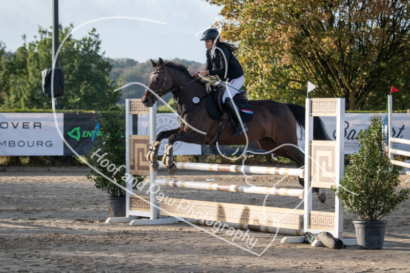 bouferterhaff-jumping-56-standard-z43owl.jpg