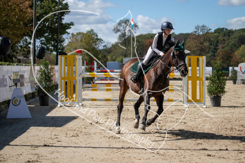 bouferterhaff-jumping-56-standard.jpg