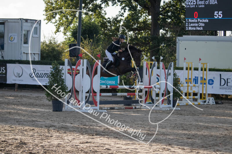 bouferterhaff-jumping-57-standard-izdw2g.jpg