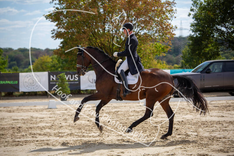 bouferterhaff-jumping-57-standard-mrerl2.jpg