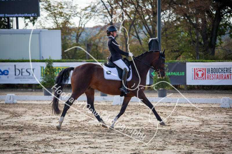 bouferterhaff-jumping-57-standard-ujwynk.jpg
