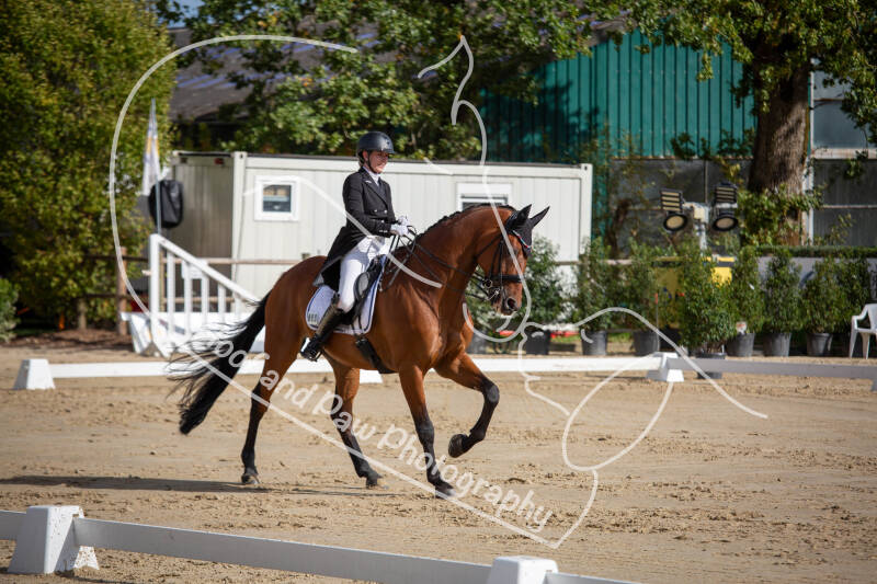 bouferterhaff-jumping-57-standard-zm9dwq.jpg