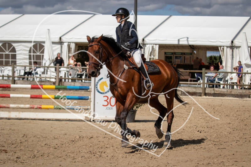 bouferterhaff-jumping-57-standard.jpg