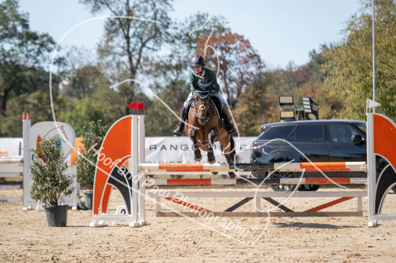 bouferterhaff-jumping-58-standard-0fmwn5.jpg