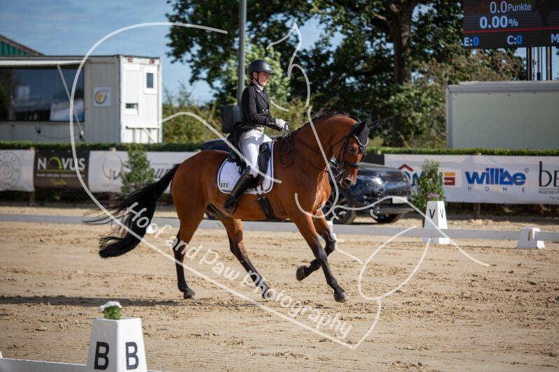 bouferterhaff-jumping-58-standard-54boiu.jpg