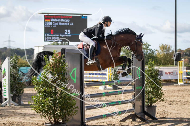 bouferterhaff-jumping-58-standard-a37421.jpg