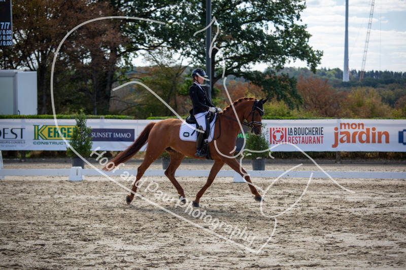 bouferterhaff-jumping-58-standard-b16383.jpg