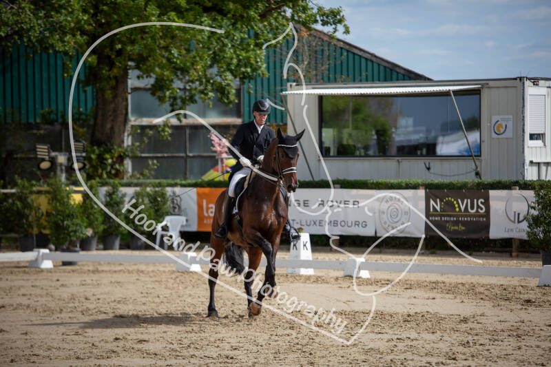 bouferterhaff-jumping-58-standard-bjr9y7.jpg
